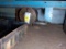 Dividing Head