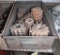 Gear Hobbing Cutters