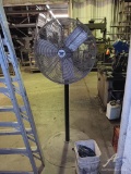 Standing Fan