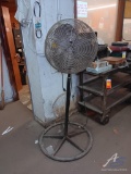 Stand Up Fan