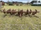 Lillingston 4 row rolling cultivator, 3 pt.