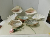 CONCH & RAINBOW  ABALONE SEA SHELLS