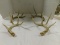 (4) SINGLE DEER ANTLERS