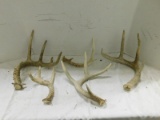 (5) MISC. SINGLE DEER ANTLERS