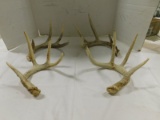 (4) SINGLE DEER ANTLERS