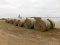 (22) BIG ROUND BALES SECOND CUTTING 2017 ALFALFA HAY