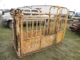 FOR-MOST CATTLE CHUTE W/ A-25 AUTOMATIC HEAD GATE & PALPATION CAGE