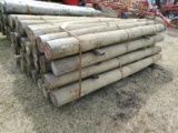 BUNDLE OF (28) NEW 6FT CEDAR POSTS