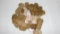 (134) WHEAT CENTS