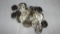 2.00  FACE 1956-D BU NICKELS