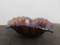 DUGAN IRIDECENT CARNIVAL GLASS HOLLY & BERRY BOWL