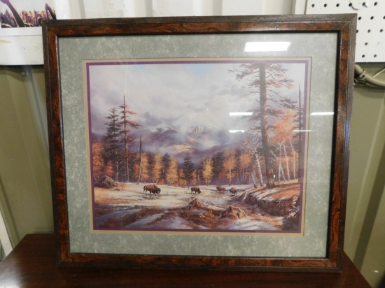 FRAMED BUFFALO PICTURE