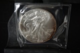 2002 SILVER EAGLE