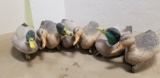 (6) G&H MALLARD DECOYS