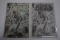 (2) WALKING DEAD  WIZARD WORLD EXCLUSIVE (2015)