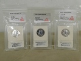 (3) 2007 SILVER ENRICHED SACAGAWEA DOLLARS