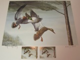 US KENTUCKY 1985 DUCK PRINT 2 STAMP FOLIO RAY HARM