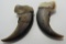 PAIR OF LARGE BEAR CLAWS 2