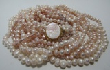 8 STRAND PEARL 23