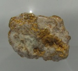 CALIFORNIA GOLD NUGGET SPECIMEN