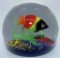BLOWN GLASS FISH PAPERWEIGHT SEALIFE ARTGLASS