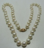 7MM CULTURED PEARL NECKLACE 14K GOLD 17.5