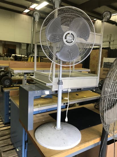 Working Adjustable Floor Fan
