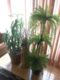 Three Fake Plants in Vases