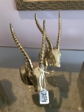 Two Brass Gazelle Heads/Bookends