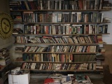 Wall Full of Books, Shelves Themselves not Included, Just Contents