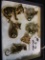 (6) Goldtone & Rhinestones Cat Pins-Largest Is 2