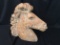 Plaster Horse Head Statue Is 21