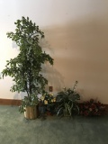 Group of Four Artifical Plants, The talles is Approx. 6' Tall.