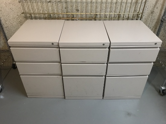 (3) Metal  Filing Units