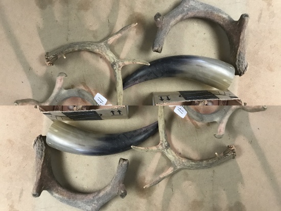 Box of Deer Antlers Cow Horn