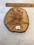 Slice of Wood Wall Hanging