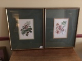 (2) Framed & Matted Floral Prints Are 17