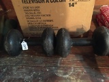 Pair Of 25LB. Dumbells