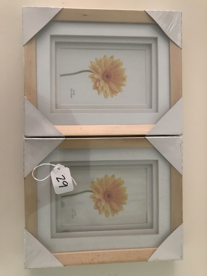 Pair Of Unopened Sunflower Prints