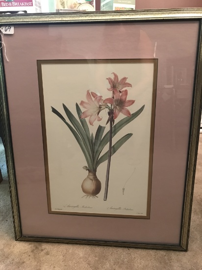Framed & Matted Botanical Print