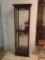 Wooden Lighted Curio Cabinet W/4 Adjustable Glass Shelves & Mirrored Back