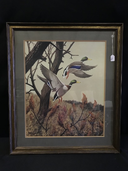 Framed & Matted Print Titled "Mallard Drakes Rising" By Don Eckelberry