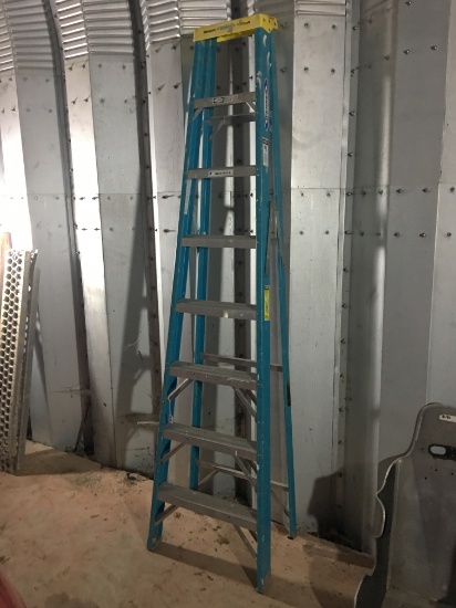 8' Werner Fiberglass Step Ladder