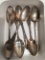 (7) Sterling Silver Spoons