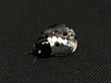 Swarovski Lady Bug, Approx. A Quarter of an Inch Tall
