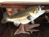 Mounted Large Mouth Bass