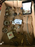 Group Of Costume Jewelry & Pins