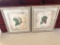 Pair Of Matching Matted & Framed Flora Prints