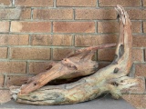 Group Of Driftwood