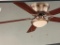 52 Inch LED Hugger Ceiling Fan Brushed Nickel Finish